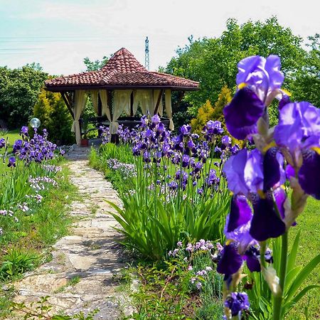 Park Hotel Djevana Горна-Оряховица Экстерьер фото